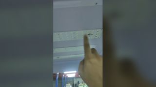 Coin Operated Pinball Machine Arcade Fun