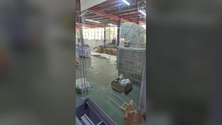 Touch Screen Pearl Vending Machine Token Ball Dispenser Arcade Prize Vending